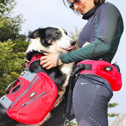 Baudrier Canicross Confort Trek I-DOG