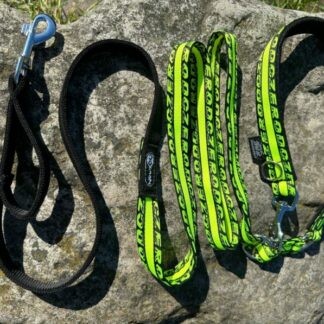 Laisse Anapurna ZERO DC vert fluo